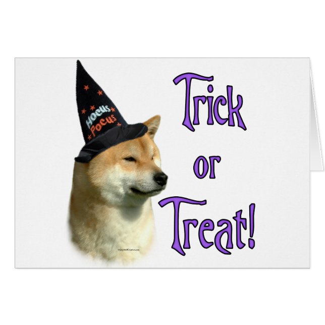 Shiba Inu Trick (Vorderseite (Horizontal))