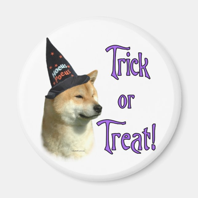 Shiba Inu Trick Magnet (Vorne)