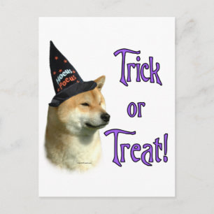 Shiba Inu Trick Postkarte