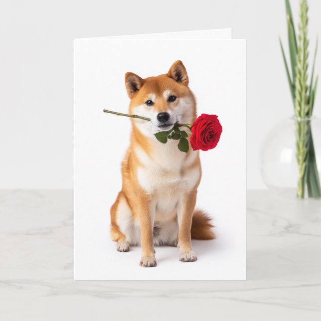Shiba Inu Valentinstag Karte (Vorderseite)