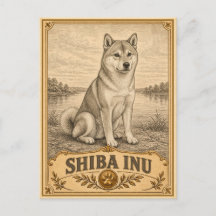 Shiba Inu, Vintage-Hunderasse