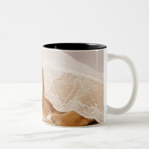 Shiba Inu Welpe, der unter einem Nettovorhang Zweifarbige Tasse