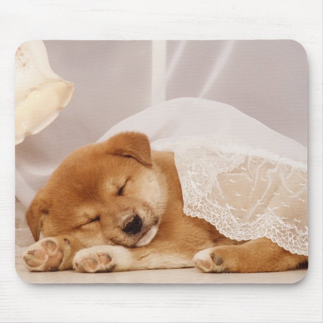 Shiba Inu Welpe, die unter einem Netzvorhang schlä Mousepad (Vorne)