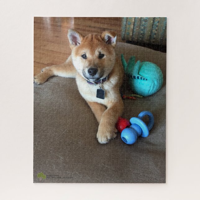 Shiba Inu Welpe mit farbigem Spielzeugfoto (Vertikal)