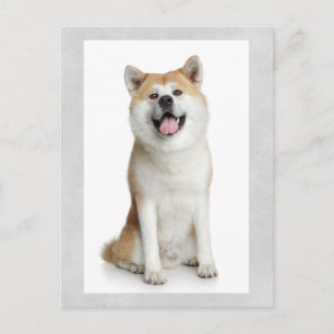 Shiba Inu Welpen-Hund Grüßkarte Postkarte