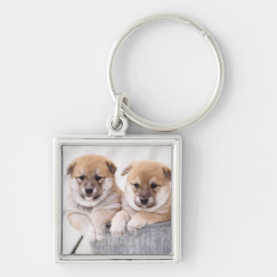 Shiba Inu Welpen in der Aluminiumwanne Schlüsselanhänger