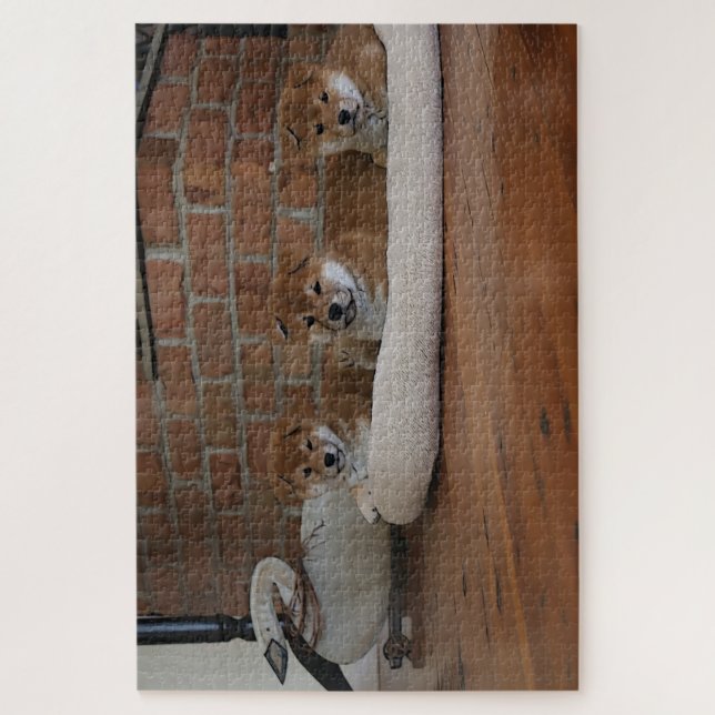 Shiba Inu Welppies (Vertikal)