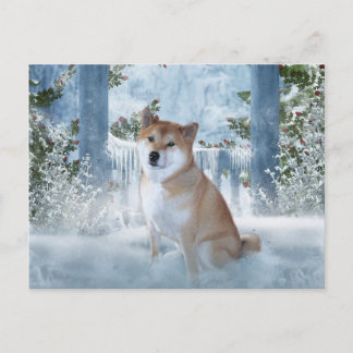 Shiba Inu Winter Postcard Postkarte