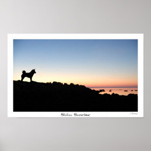 Shiba Sonnenaufgang Poster