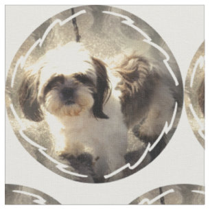 shih-tsu-2 stoff