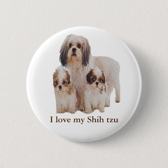 Shih-tsu Button (Vorderseite)