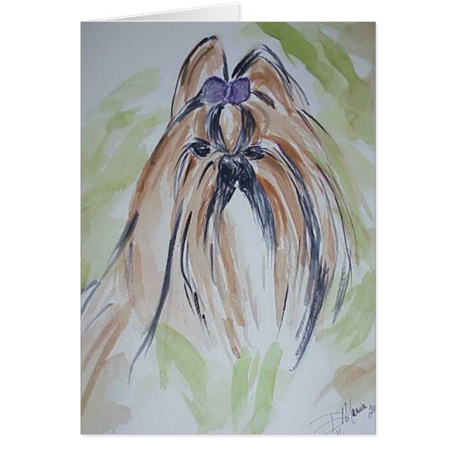 Shih Tzu (Vorne)