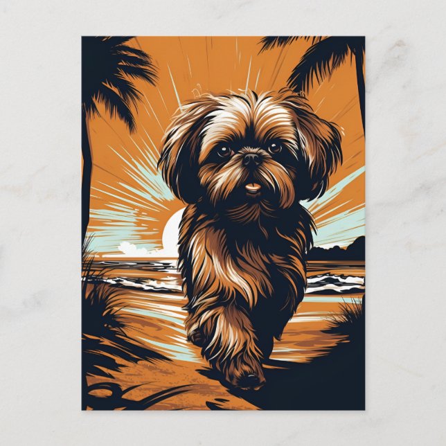Shih-tzu am Strand Postkarte (Vorderseite)