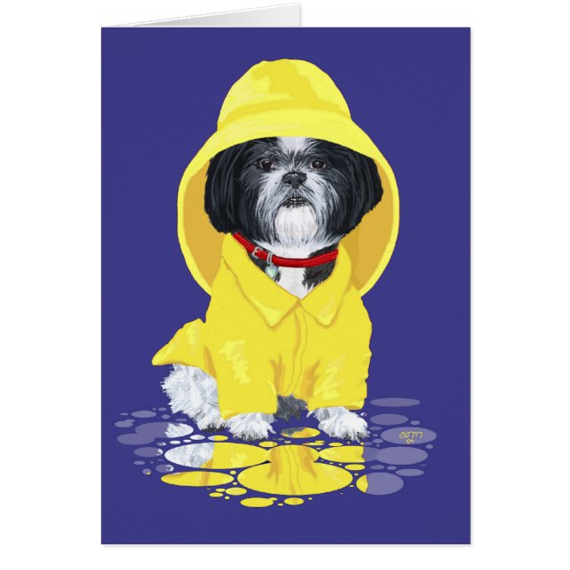 Shih Tzu April Showers (Devant)
