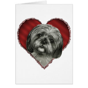 Shih Tzu avec le coeur