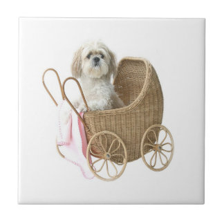 Shih Tzu-Babywagen Fliese