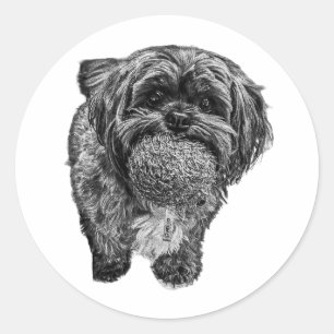Shih Tzu & Ball Verspielter Hundekunst-Aufkleber Runder Aufkleber