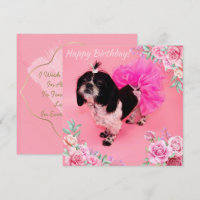 Shih Tzu Birthday