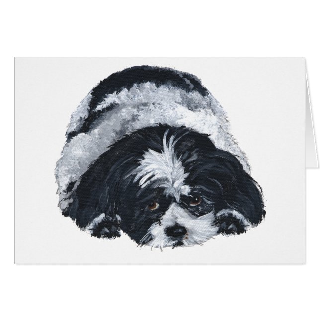 Shih Tzu Black & White (Vorderseite (Horizontal))