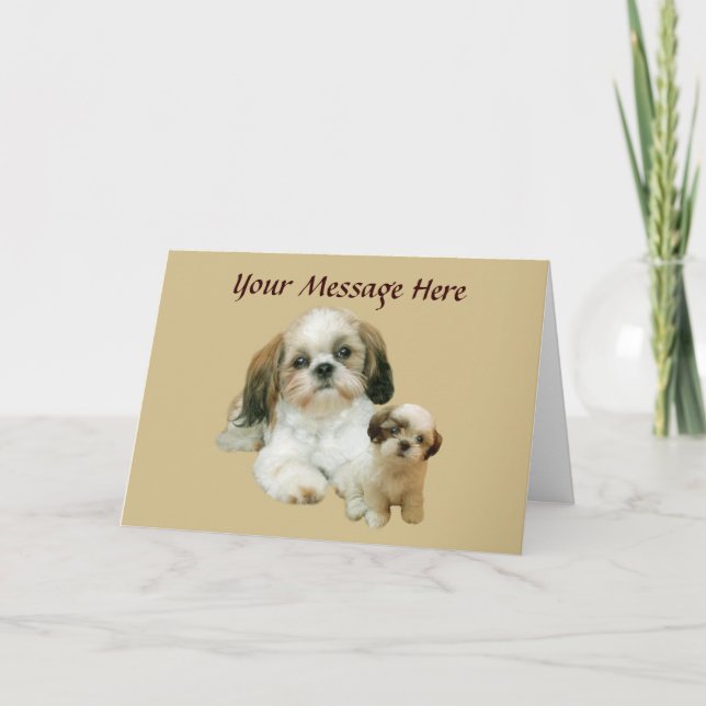 Shih Tzu Buddies Grußkarte Karte (Vorderseite)