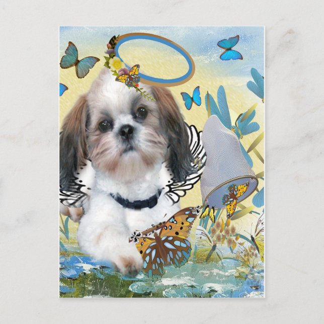 Shih Tzu Butterfly Chaser Cards Postkarte (Vorderseite)
