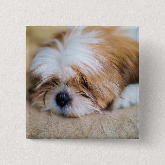 Shih Tzu Button (Vorderseite)