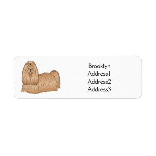 Shih tzu-Cartoon-Illustration