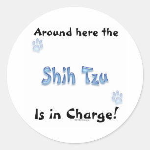 Shih Tzu Charge - Aufkleber