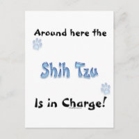 Shih Tzu Charge