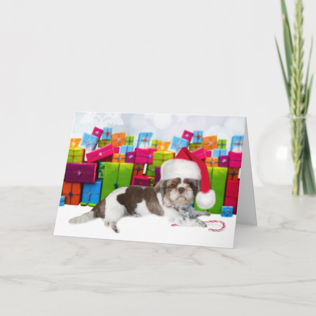 Shih Tzu Christmas Dog Karte (Vorderseite)