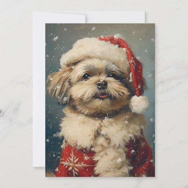 Shih Tzu Christmas Feiertagskarte (Vorderseite)