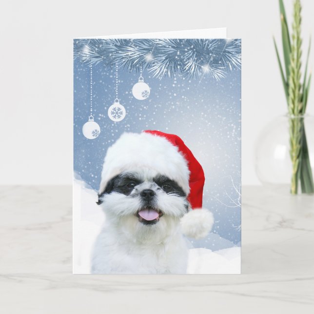 Shih Tzu Christmas Feiertagskarte (Vorderseite)