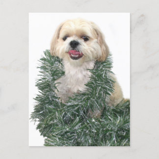 Shih Tzu Christmas Feiertagspostkarte