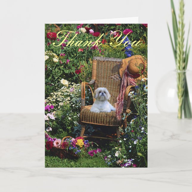 Shih Tzu danken Ihnen, Garten zu kardieren Dankeskarte (Vorderseite)