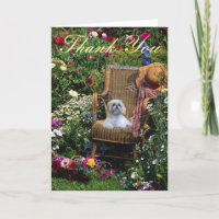 Shih Tzu danken Ihnen, Garten zu kardieren