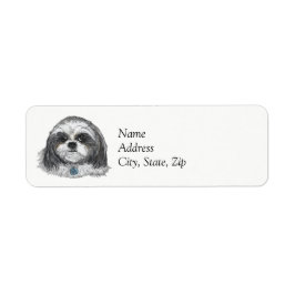 Shih Tzu Dog