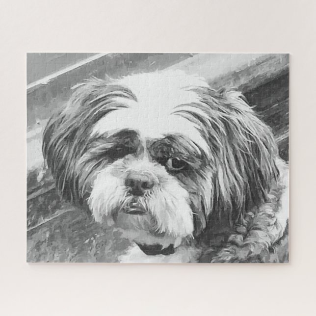 SHIH TZU DOG (Horizontal)