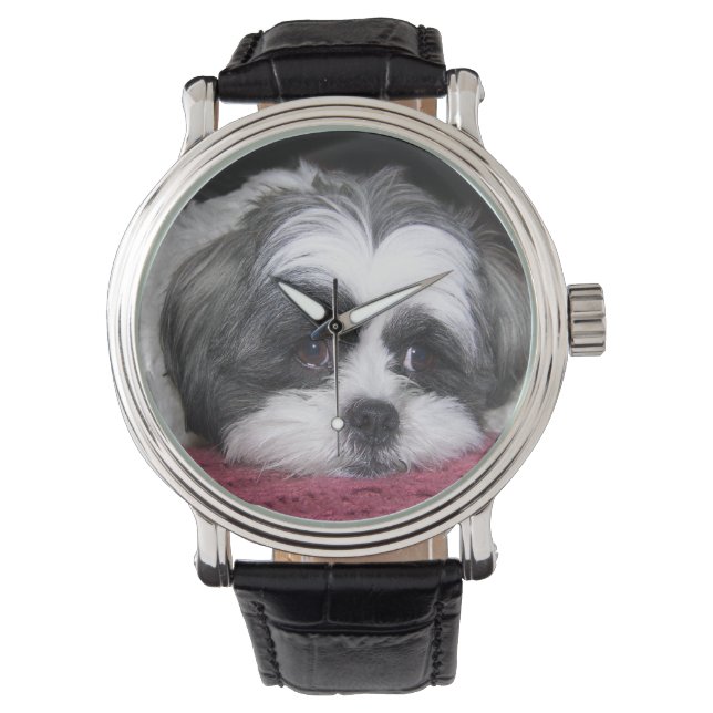 Shih Tzu Dog Armbanduhr (Vorderseite)