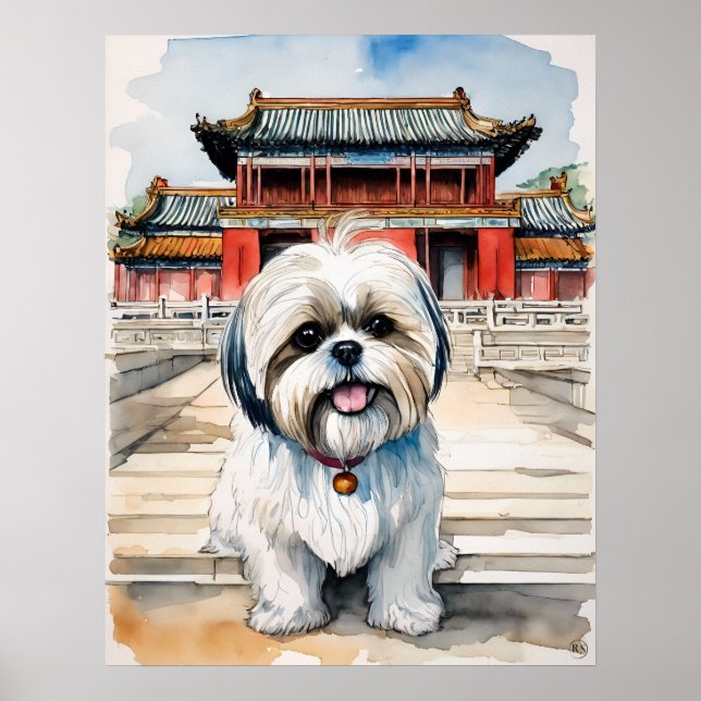 Shih Tzu - Dog Art Print Poster (Vorne)