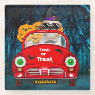 Shih Tzu Dog Beängstigendes Halloween Auto Glasuntersetzer