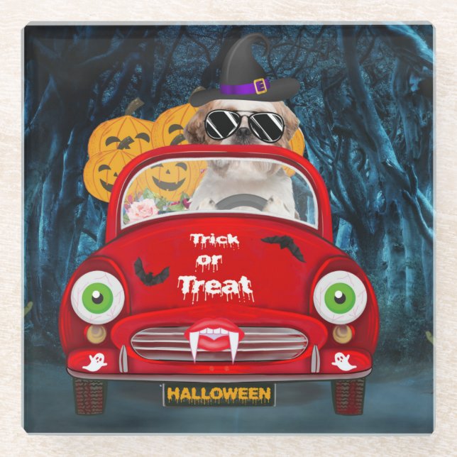 Shih Tzu Dog Beängstigendes Halloween Auto Glasuntersetzer (Vorderseite)
