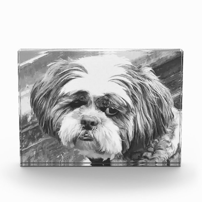 SHIH TZU DOG FOTOBLOCK (Vorderseite)