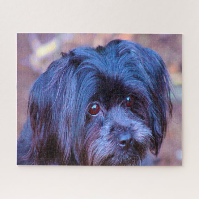 Shih Tzu Dog Jigsaws. (Horizontal)