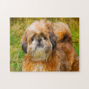Shih Tzu Dog Jigsaws.