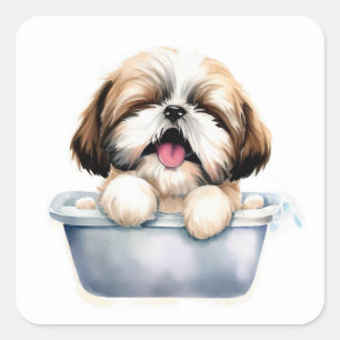 Shih Tzu Dog Quadratischer Aufkleber