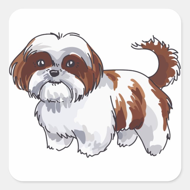 Shih Tzu Dog Quadratischer Aufkleber (Vorderseite)