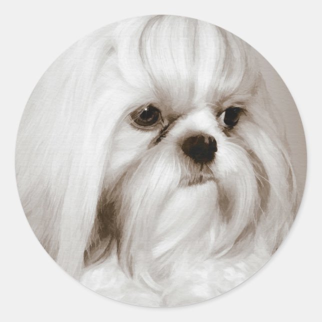 Shih Tzu Dog Sticker (Vorderseite)