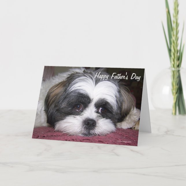 Shih Tzu Dog Vatertag Karte (Vorderseite)
