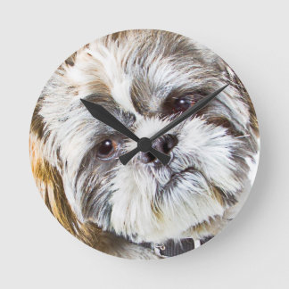Shih Tzu Dog Wall Clock Runde Wanduhr
