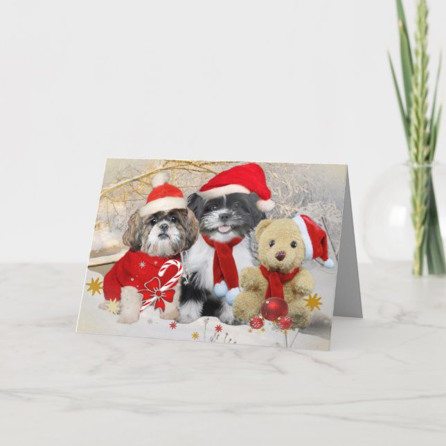 Shih Tzu et carte de Noël d'ours de nounours (Devant)